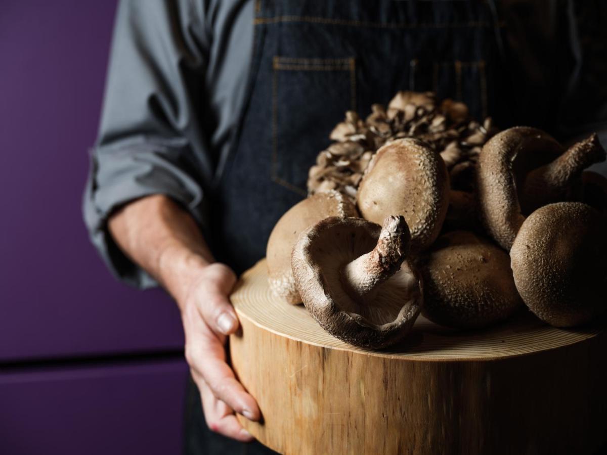 ไฮแอท เซ็นทริก คานาซาวะ Hotel คานาซาว่า ภายนอก รูปภาพ Shiitake mushrooms